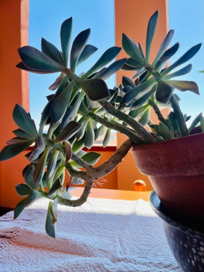 Apartmán Casa Di Rosy San Sperate Exteriér fotografie